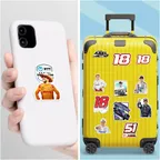 Dale Coyne Racing Sticker Set thumbnail 8