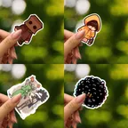 Little Nightmare Sticker Set thumbnail 2