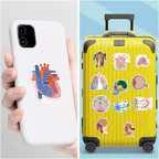 Anatomy Diagram Sticker Set thumbnail 7