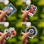 Rahal Letterman Lanigan Racing Sticker Set thumbnail 2