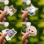Tiktok Meme Cats Sticker Set thumbnail 2