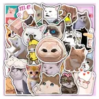 Tiktok Meme Cats Sticker Set thumbnail 1