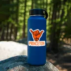 Princeton University Sticker Set thumbnail 2