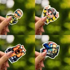 Ed Carpenter Racing Sticker Set thumbnail 2