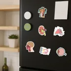 Anatomy Diagram Sticker Set thumbnail 6
