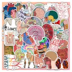 Anatomy Diagram Sticker Set thumbnail 1